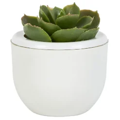 Mini plante décorative-Gifi