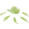 Mini plume verte x35-Gifi Sale