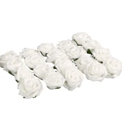 MINI ROSE X20-Gifi Outlet