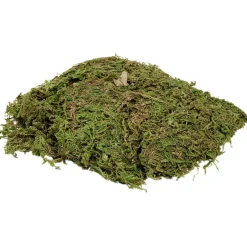 Mousse pour crèche de Noël vert 50g-Gifi