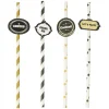 Paille assortie avec pancarte L19,5cm 20 pièces-Gifi Best