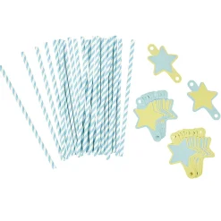 Paille bleu et étiquette étoile en papier x 24-Gifi Online