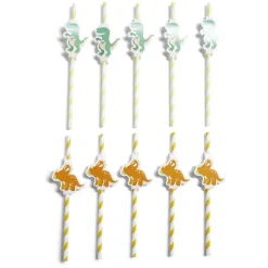 Paille décor dinosaure x10-Gifi