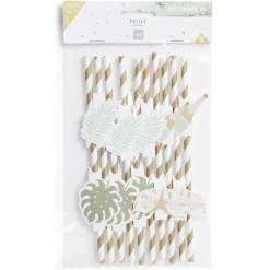 Paille décor nature x10-Gifi Best