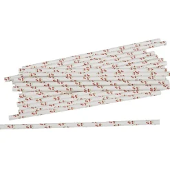 Paille en carton déco cerise x20-Gifi Sale