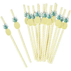 Paille en papier ananas x 16-Gifi Sale