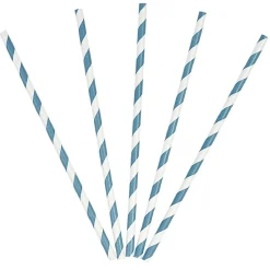 Paille en papier motif chevron blanc et bleu x20-Gifi
