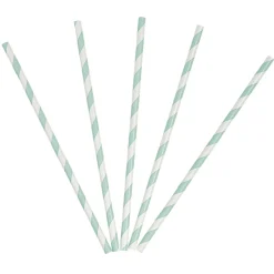 Paille en papier motif chevron blanc turquoise x20-Gifi Hot