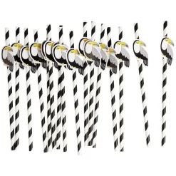 Paille papier décor spirale colorée avec fantaisie x16 - Ø0,5 x H27cm-Gifi Online