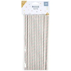 Paille rose et vert x 24-Gifi Discount
