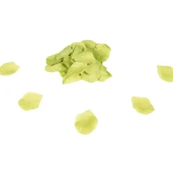 PETALE DE ROSE-Gifi Discount