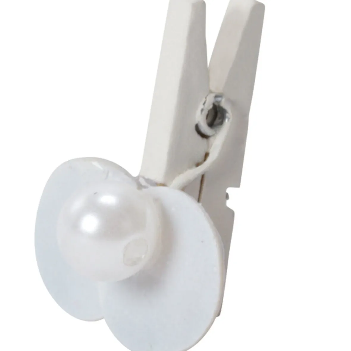 Pince coquillage blanc x6-Gifi Clearance