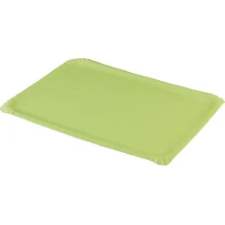 Plateau en carton vert anis x10-Gifi