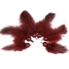 Plume déco rouge bordeaux x6-Gifi Sale