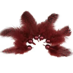 Plume déco rouge bordeaux x6-Gifi Sale