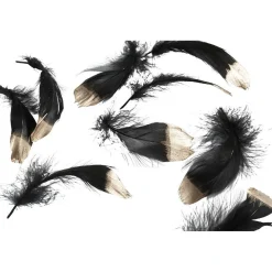 Plume noire pointe dorée Noël x20-Gifi Best