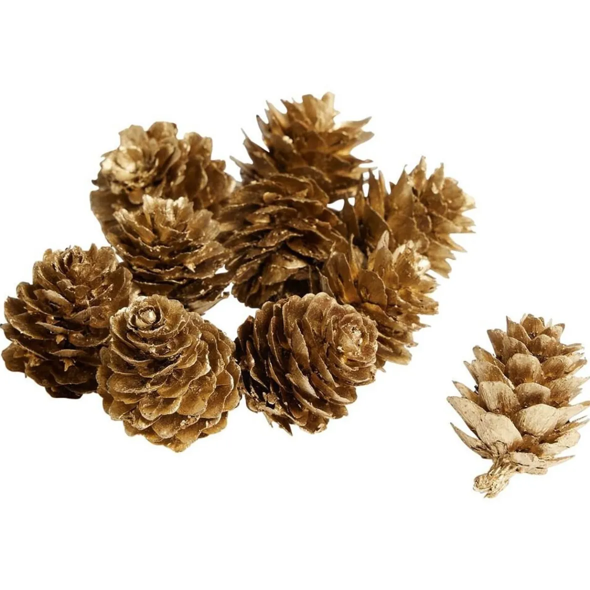 Pomme de pin à poser effet neige dorée x10-Gifi Hot