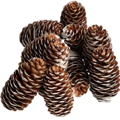 Pomme de pin finition enneigée x10-Gifi Online