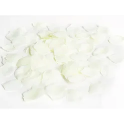 Pétale de rose ivoire x120-Gifi Discount
