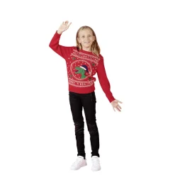 Pull de Noël enfant-Gifi