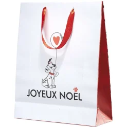 Sac cadeau Disney Dalmatien taille M-Gifi New