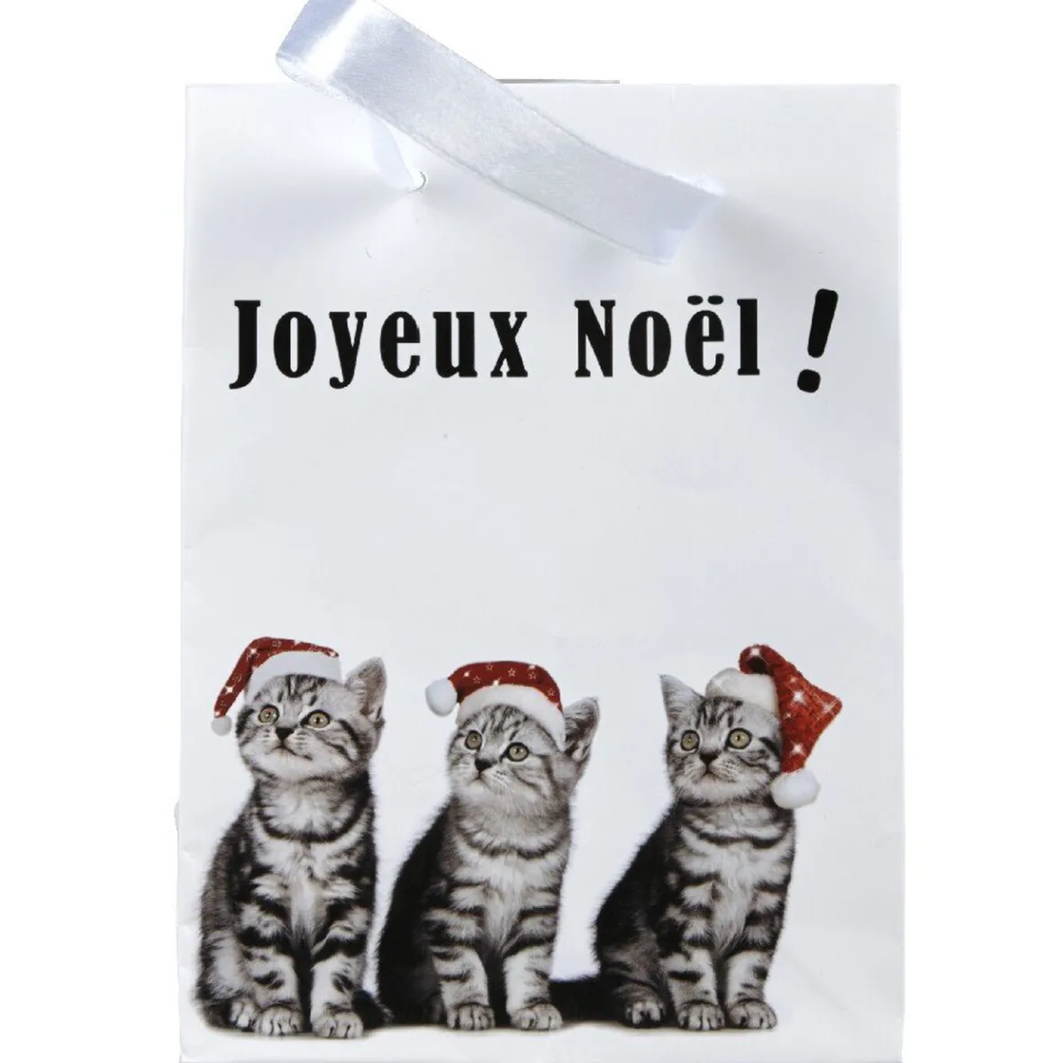 Sac cadeau Joyeux Noël motif chats petit modèle-Gifi New