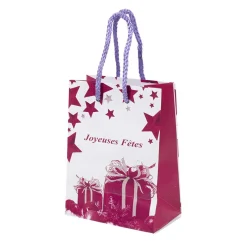 Sac cadeau Noël-Gifi Discount