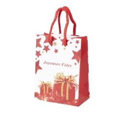 Sac cadeau Noël-Gifi Discount