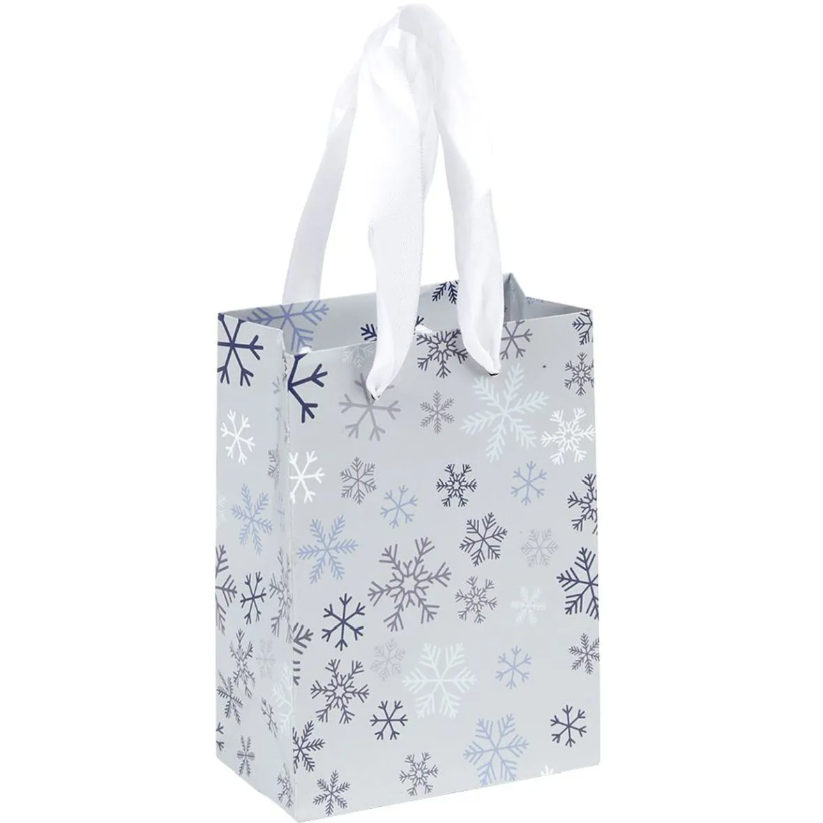 Sac cadeau Noël Jardin d'Hiver L14X6 cm-Gifi New