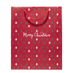 Sac cadeau traditionnel 26xH32cm - 2 modèles-Gifi Clearance