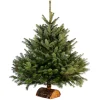 Sapin de Noël naturel Nordmann 100 cm-Gifi New