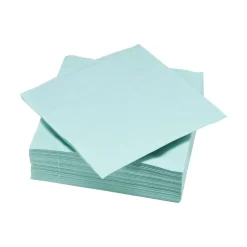 Serviette carré unie vert d'eau 2 plis en papier x50-Gifi Sale