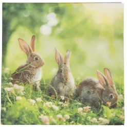 Serviette en papier Pâques motif lapins x20-Gifi New