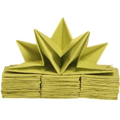Serviette en papier pré pliée vert anis x12-Gifi Discount