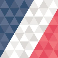 Serviette en papier tricolore supporter France x20-Gifi Best