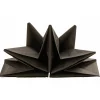 Serviette jetable pré pliée noire x12-Gifi