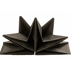 Serviette jetable pré pliée noire x12-Gifi