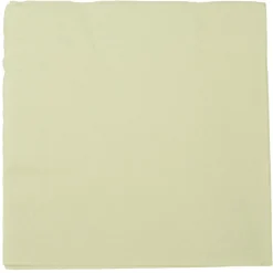 Serviette vert anis en papier x20-Gifi Outlet
