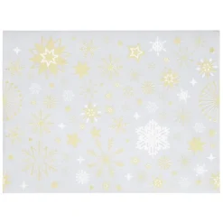 Set de table jetable Airlaid gris x12-Gifi Clearance