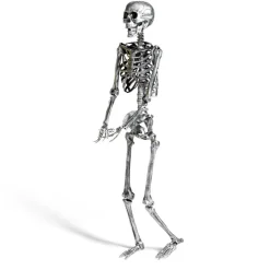 Squelette articulé Halloween H150cm plastique argenté-Gifi Clearance