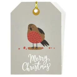 Étiquette pour paquet cadeau Noël Hiver Nature x6-Gifi Discount