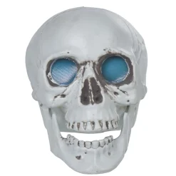 Tête de mort sonore et lumineuse-Gifi Clearance